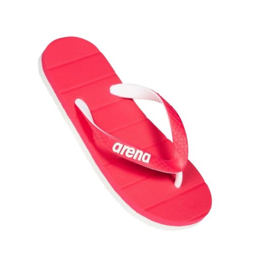 Arena Eddy Junior - immagine 4