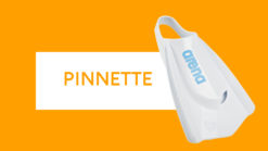 Pinnette
