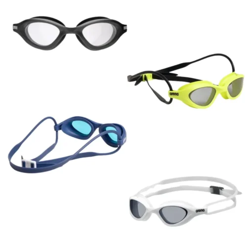 Arena 365 Googles